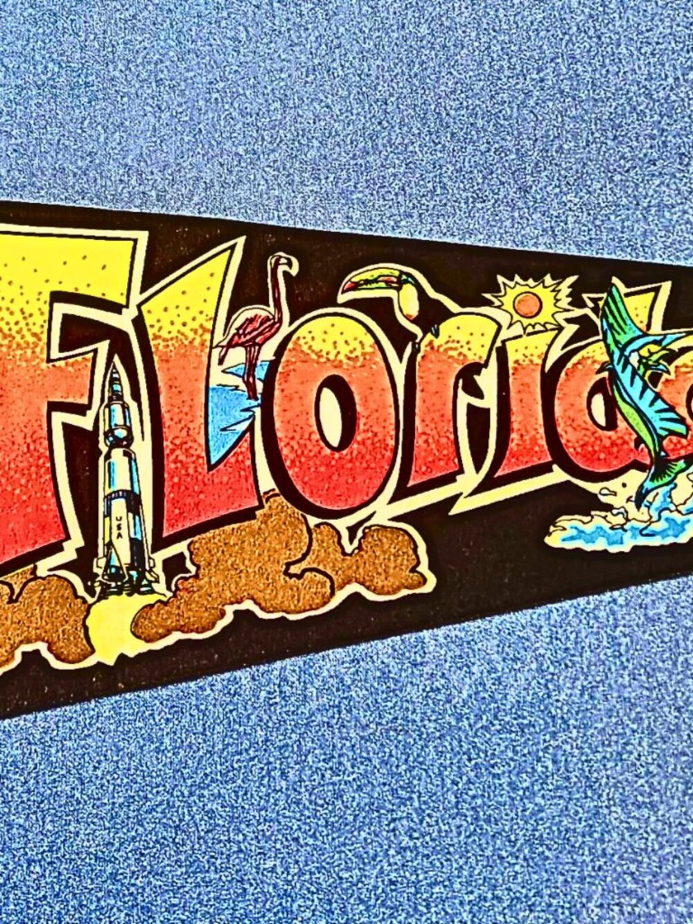 Vintage 1970s State of Florida Pennant Black Felt Tourism Souvenir - 1976
